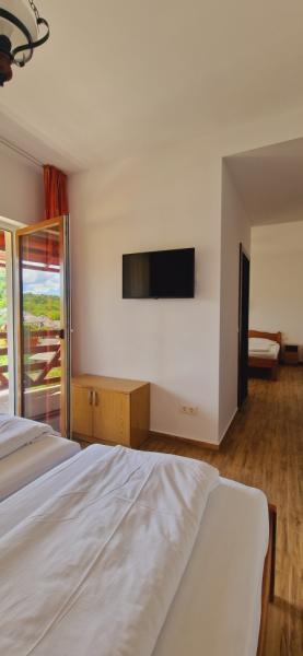 Pension PENSIUNEA IN POIANA from Glod, Maramureș picture 8