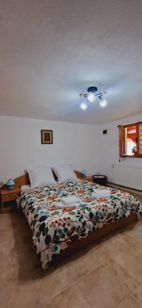 Pension CASA GURITA from Ieud, Maramureș picture 16