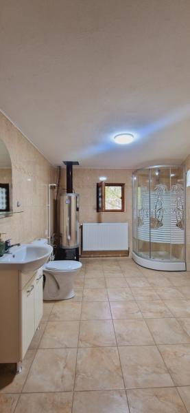 Pension CASA GURITA from Ieud, Maramureș picture 22