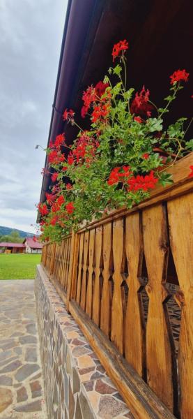 Pension CASA GURITA from Ieud, Maramureș picture 29