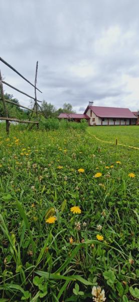 Pension CASA GURITA from Ieud, Maramureș picture 3
