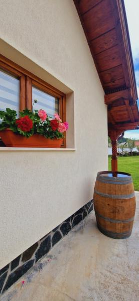 Pension CASA GURITA from Ieud, Maramureș picture 6