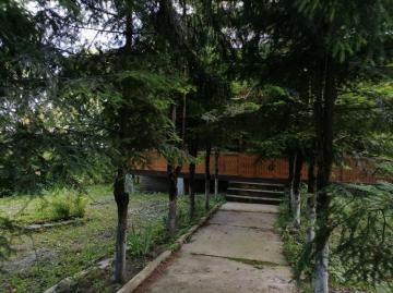 Pension SAMBRA OILOR from Huta, Maramureș picture 15