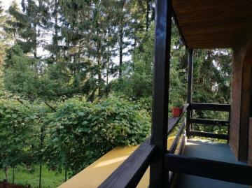 Pension SAMBRA OILOR from Huta, Maramureș picture 16