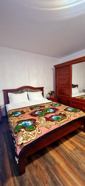 Pension CASA SAS from Rozavlea, Maramureș picture 18