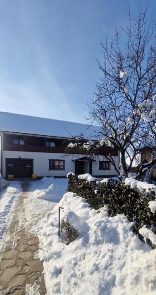 Pension CASA SAS from Rozavlea, Maramureș picture 24