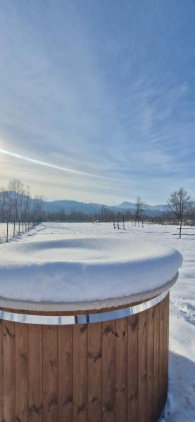 Pension CASA SAS from Rozavlea, Maramureș picture 27