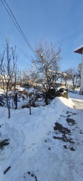 Pension CASA SAS from Rozavlea, Maramureș picture 28