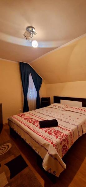 Pension PENSIUNEA ANCA BERBESTI from Berbesti, Maramureș picture 11