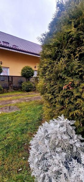 Pension PENSIUNEA ANCA BERBESTI from Berbesti, Maramureș picture 17
