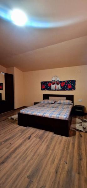 Pension PENSIUNEA ANCA BERBESTI from Berbesti, Maramureș picture 4