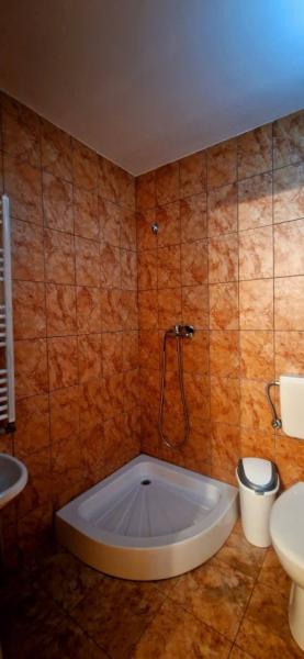 Pension PENSIUNEA ANCA BERBESTI from Berbesti, Maramureș picture 5