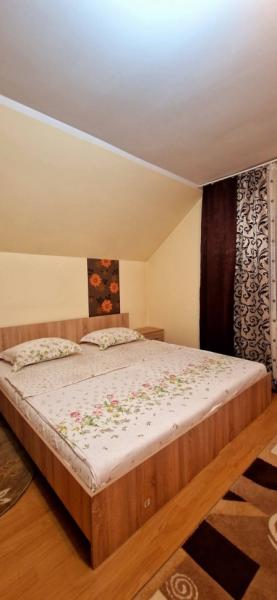 Pension PENSIUNEA ANCA BERBESTI from Berbesti, Maramureș picture 6