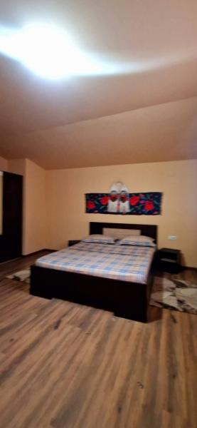 Pension PENSIUNEA ANCA BERBESTI from Berbesti, Maramureș picture 7