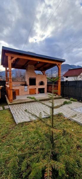 Pension CASA EDY from Viseu De Sus, Maramureș picture 17