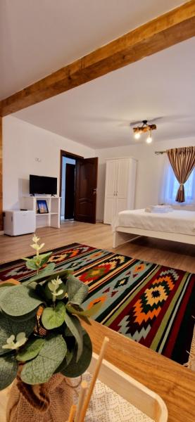Pension PENSIUNEA CASUTELE VLAD from Salistea De Sus, Maramureș picture 12