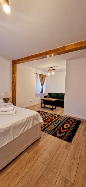 Pension PENSIUNEA CASUTELE VLAD from Salistea De Sus, Maramureș picture 13