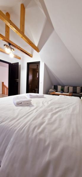 Pension PENSIUNEA CASUTELE VLAD from Salistea De Sus, Maramureș picture 28