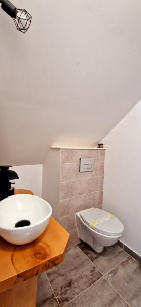 Pension CABANA UMBRA BRAZILOR from Viseu De Jos, Maramureș picture 13