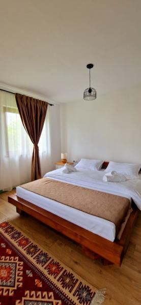 Pension CABANA UMBRA BRAZILOR from Viseu De Jos, Maramureș picture 20