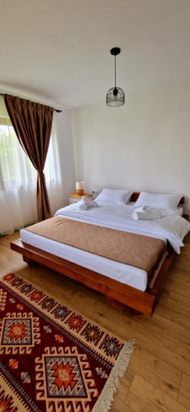 Pension CABANA UMBRA BRAZILOR from Viseu De Jos, Maramureș picture 22