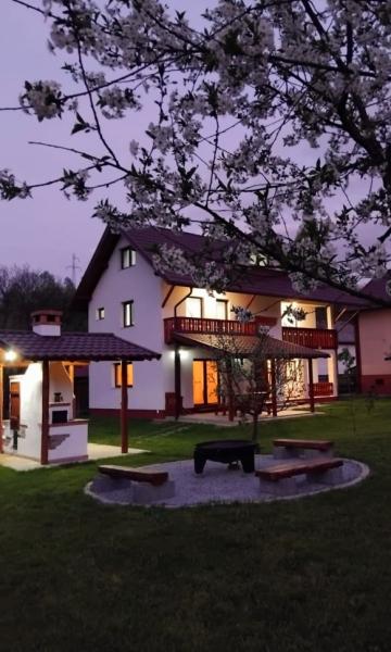 Pension CABANA UMBRA BRAZILOR from Viseu De Jos, Maramureș picture 23