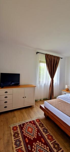 Pension CABANA UMBRA BRAZILOR from Viseu De Jos, Maramureș picture 3