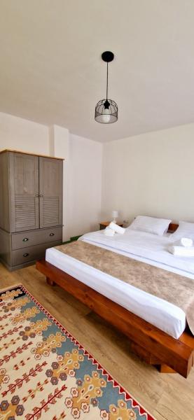 Pension CABANA UMBRA BRAZILOR from Viseu De Jos, Maramureș picture 32