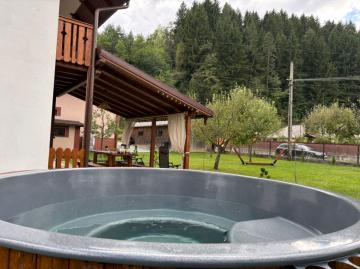 Pension CABANA UMBRA BRAZILOR from Viseu De Jos, Maramureș picture 36