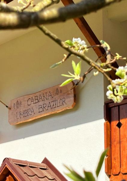 Pension CABANA UMBRA BRAZILOR from Viseu De Jos, Maramureș picture 4