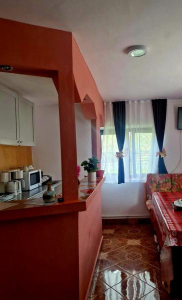 Vacation home CASA ROXANA from Viseu De Sus, Maramureș picture 17