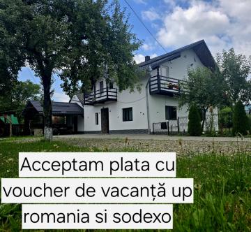 Vacation home CASA ROXANA from Viseu De Sus, Maramureș picture 20