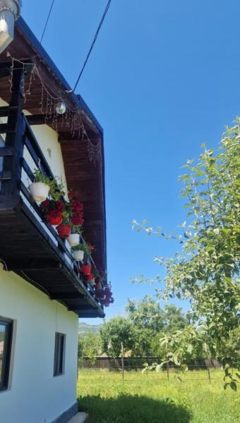 Vacation home CASA ROXANA from Viseu De Sus, Maramureș picture 21