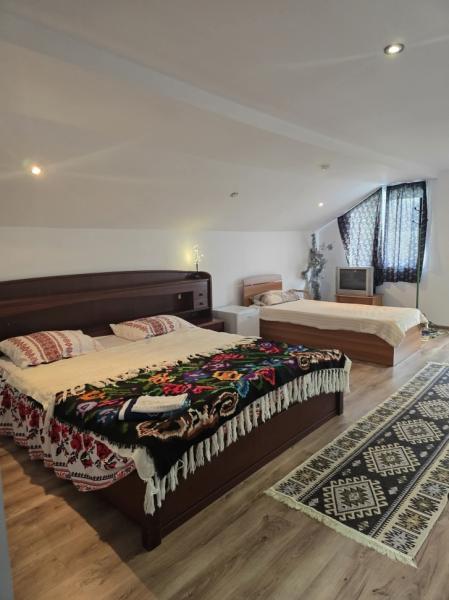 Vacation home CASA ROXANA from Viseu De Sus, Maramureș picture 24