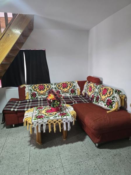 Vacation home CASA ROXANA from Viseu De Sus, Maramureș picture 27