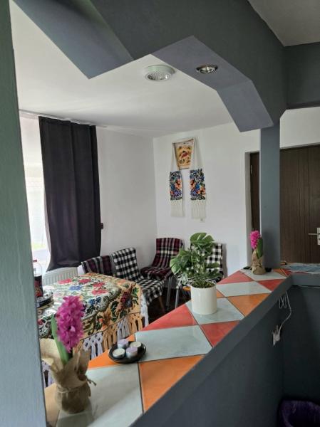 Vacation home CASA ROXANA from Viseu De Sus, Maramureș picture 28