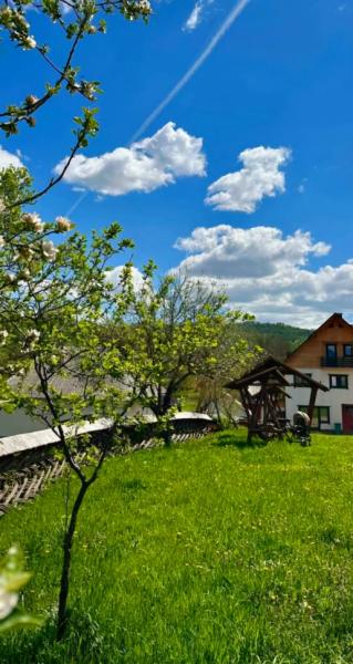 Pension CASA PETRAN from Breb, Maramureș picture 4