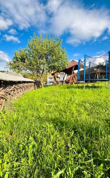 Pension CASA PETRAN from Breb, Maramureș picture 6