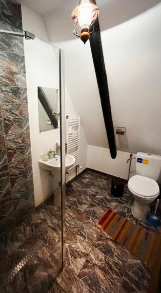 Pension POIANA CREASTA COCOSULUI from Breb, Maramureș picture 19