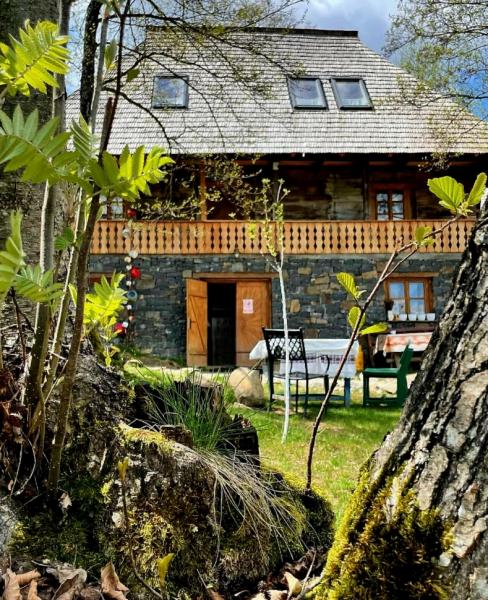 Pension POIANA CREASTA COCOSULUI from Breb, Maramureș picture 2