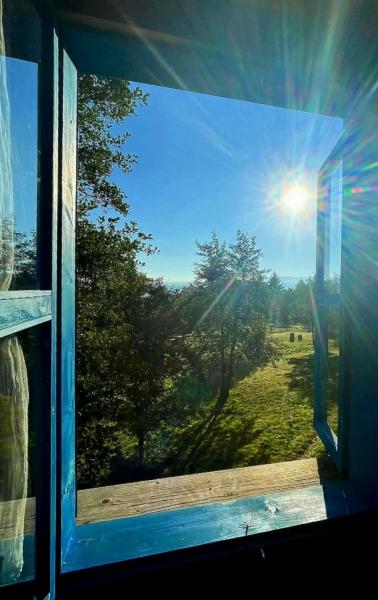 Pension POIANA CREASTA COCOSULUI from Breb, Maramureș picture 22