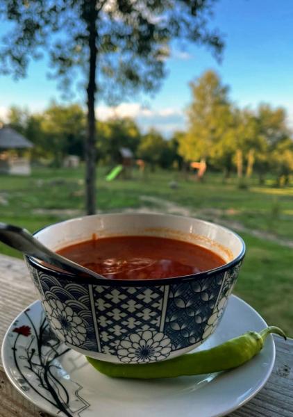 Pension POIANA CREASTA COCOSULUI from Breb, Maramureș picture 3