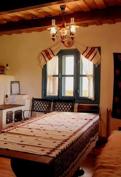 Pension POIANA CREASTA COCOSULUI from Breb, Maramureș picture 9