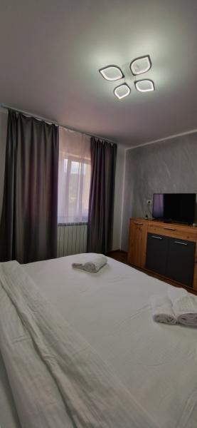 Pension APARTAMENT EREMIAS from Borsa, Maramureș picture 10