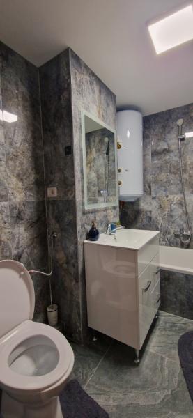 Pension APARTAMENT EREMIAS from Borsa, Maramureș picture 11