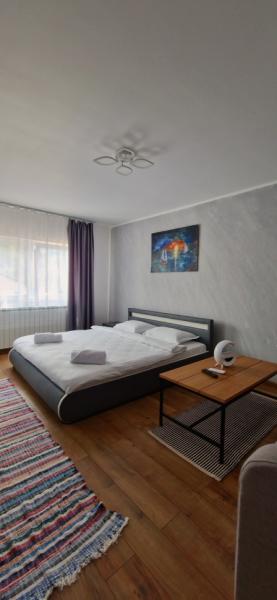 Pension APARTAMENT EREMIAS from Borsa, Maramureș picture 12