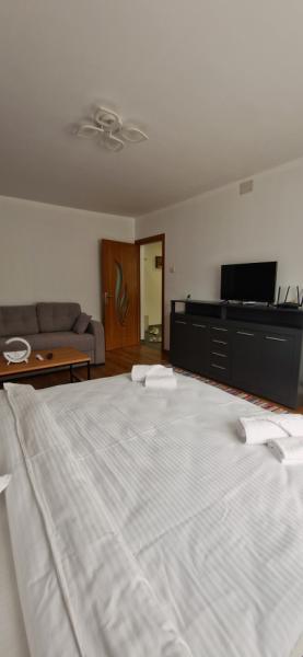 Pension APARTAMENT EREMIAS from Borsa, Maramureș picture 13