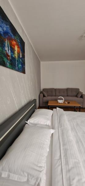 Pension APARTAMENT EREMIAS from Borsa, Maramureș picture 14