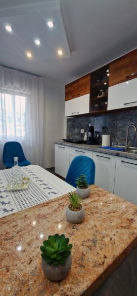 Pension APARTAMENT EREMIAS from Borsa, Maramureș picture 15