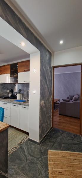 Pension APARTAMENT EREMIAS from Borsa, Maramureș picture 17